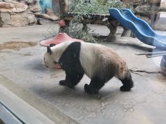 -石家庄市动物园