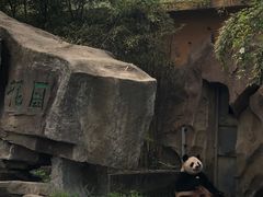 -宁波野生动物园