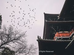 -隆兴寺