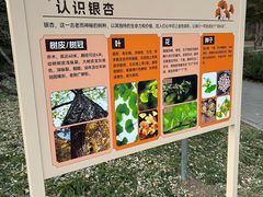 -玲珑塔公园