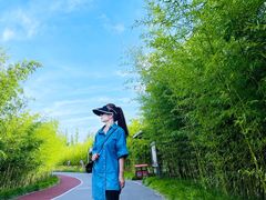 -上海长兴岛郊野公园