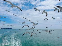 -海驴岛(荣成市)