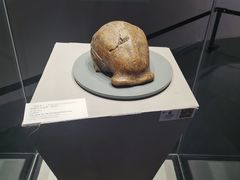 -北京周口店北京人遗址博物馆