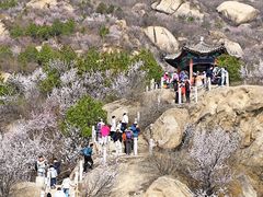 -北京凤凰岭