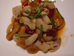 -秀儿四九城·新京菜(亚运村鸟巢店)