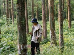 -南山风景名胜区