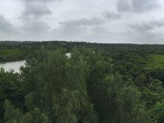 -东寨港红树林旅游区