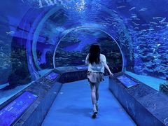 -海合安成都极地海洋公园