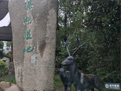 -溱湖国家湿地公园