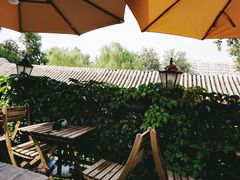 -Sirena海妖日咖夜酒