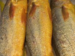 -501號台州海鲜餐厅(海创园店)