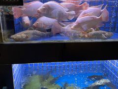 -徐记海鲜(汉城湖|太奥店)