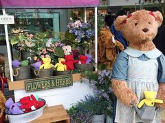 -济州岛泰迪熊博物馆