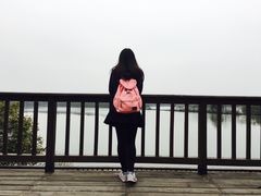 -大湾区中央湿地公园