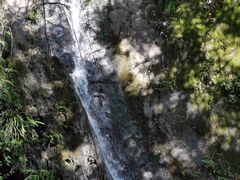 -南山植物园