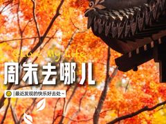 -秋霞圃