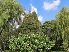 -旭龙鱼头王(航华店)