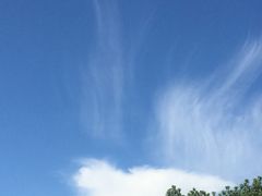 -千岛湖城中湖游船码头