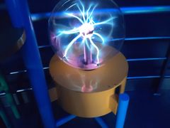 -陕西自然博物馆