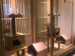 -猫腻·猫咖·撸猫馆(星光大道店)