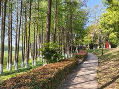 -苏州吴中太湖旅游区