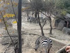 -南昌动物园