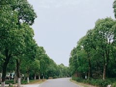 -上海海湾国家森林公园