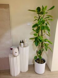 -Doria salon 小颜皮肤