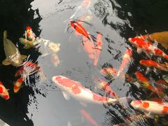 -华庭苑农家乐(旺山店)