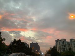 -奈雪的茶(金地广场店)