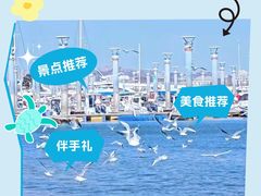 -日照海滨国家森林公园