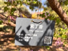 -国家植物园