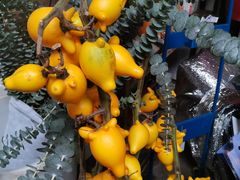 -循礼门鲜花花市(武汉循礼门店)