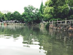 -嘉定紫藤园