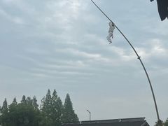 -乌镇东栅景区