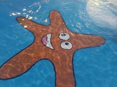 -汕头中海黄金海岸水上乐园