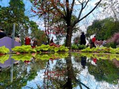 -南山植物园