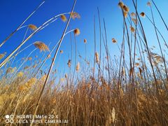 -野鸭湖国家湿地公园