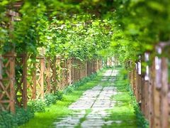 -北京张裕爱斐堡酒庄