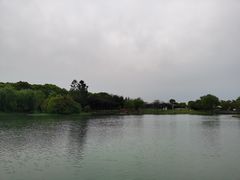 -上海佘山世茂艾美酒店
