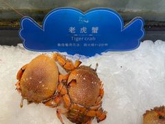 -云顶旋转自助景观餐厅