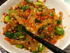 鸭掌筋-壹盏灯(惠农店)