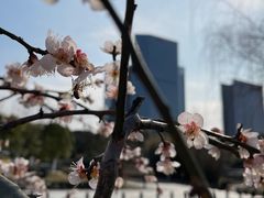 -白塘生态植物园