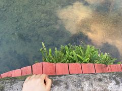 -靖西鹅泉风景区