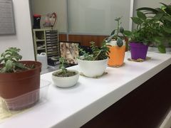 -国家电网(上海电力医院)