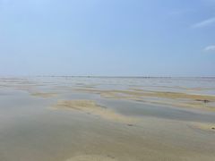 -红树林天天赶海