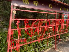 -东莞观音山旅游风景区