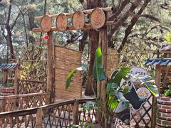 -北海金海湾红树林生态旅游区