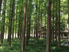 -东坡赤壁风景名胜区