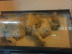 android_upload_pic-盛京一禾